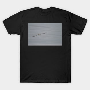 Gliding T-Shirt